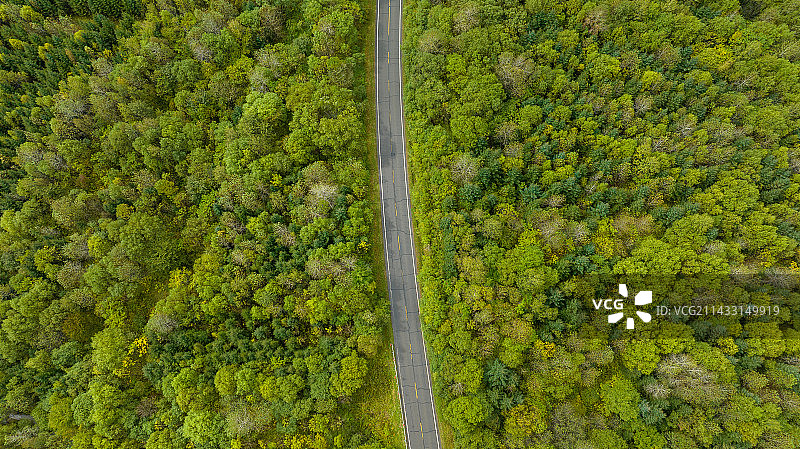 长白山林海公路图片素材