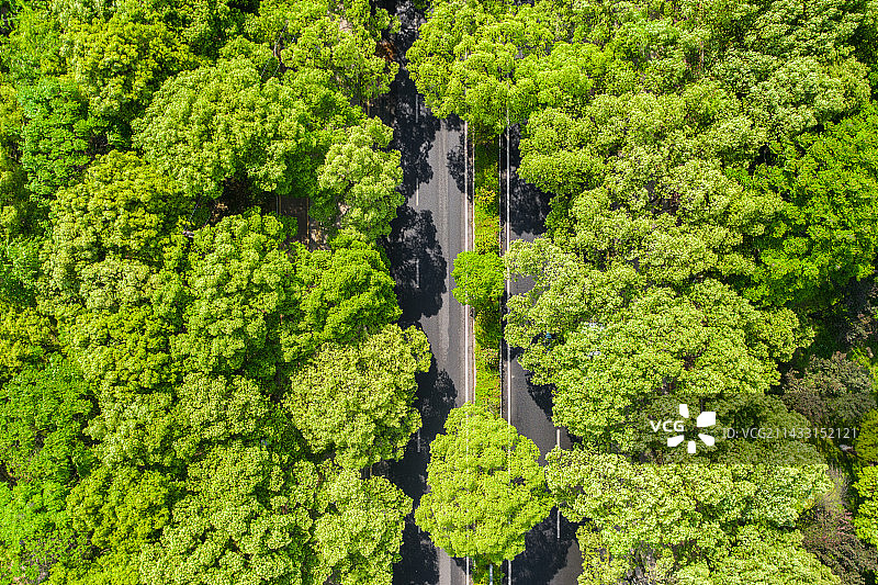 汽车公路行驶图片素材
