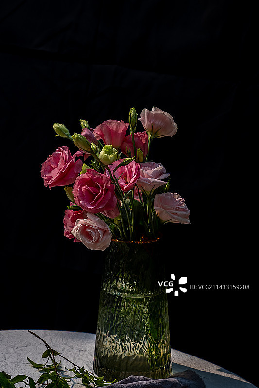 洋桔梗图片素材