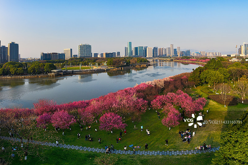 浙江义乌江滨梅光梅林风光航拍图片素材