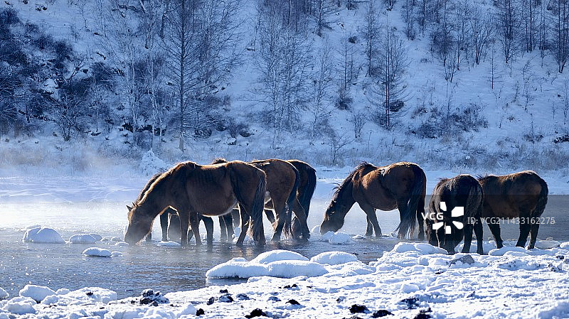 冰天雪地的不冻河图片素材