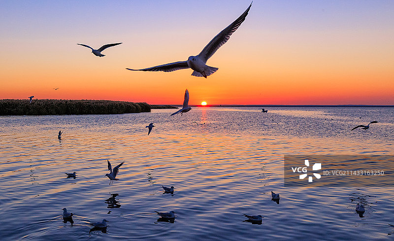 居延海日出图片素材