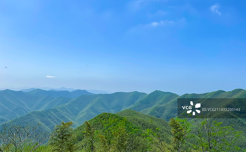 宜兴竹海风光航拍视角图片素材