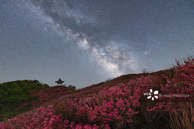 湖北省麻城市杜鹃花海与银河同框图片素材