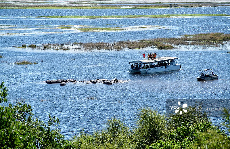 水上游猎 赞比西河图片素材