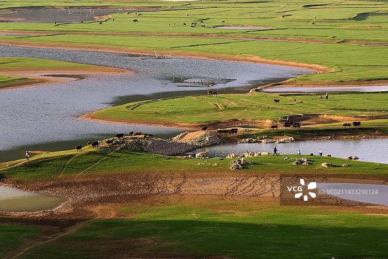 渠洋湖湿地天然牧场风景图片素材
