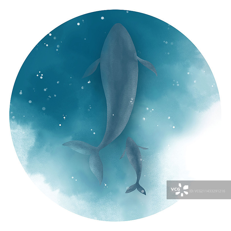 海中鲸鱼插画图片素材