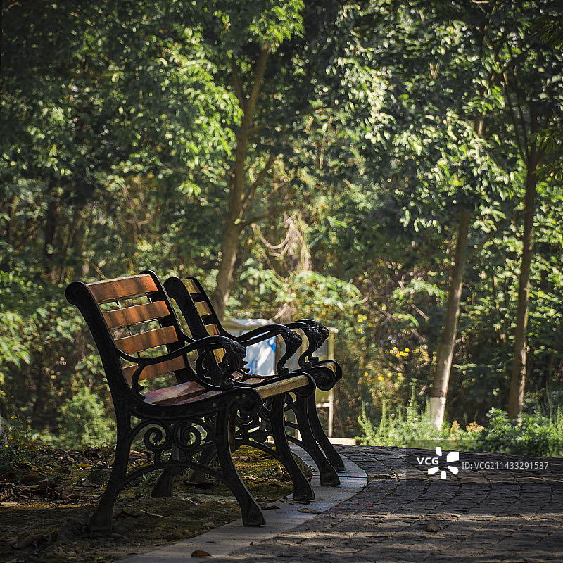 公园里的空长凳 拍摄于四川青白江凤凰湖公园图片素材