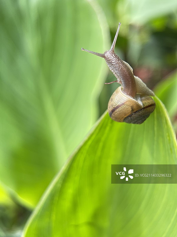 登顶之乐图片素材
