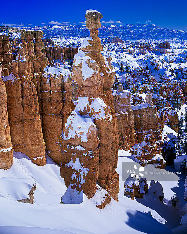冬季布莱斯峡谷国家公园的雷神之锤图片素材