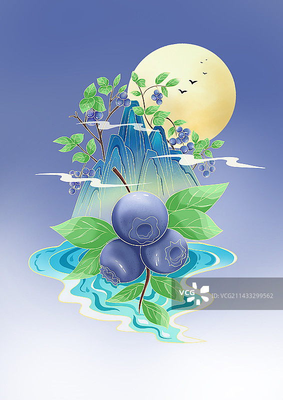 蓝莓插画图片素材