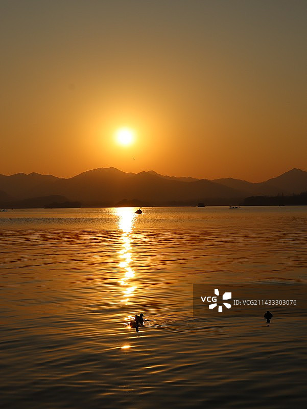 浮光跃金图片素材