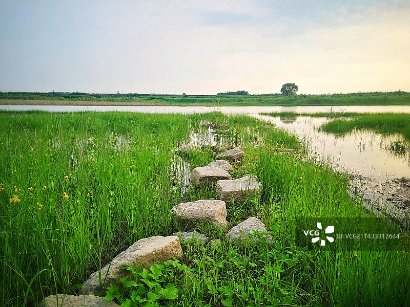 平山中山湖湿地图片素材