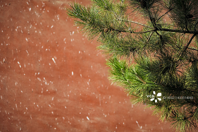 山西大同善化古寺景色图片素材