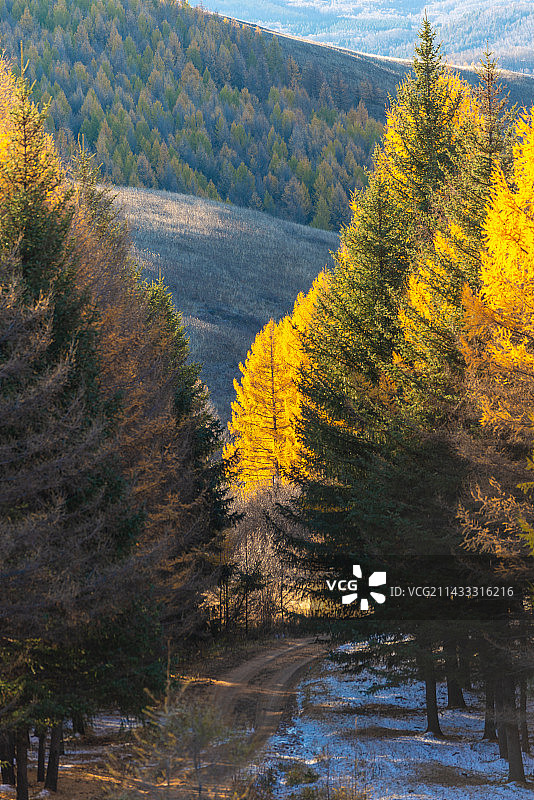 内蒙古赤峰黄岗梁大兴安岭林区秋天景色图片素材
