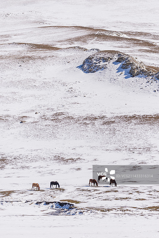 内蒙古赤峰黄岗梁大兴安岭林区秋天景色图片素材