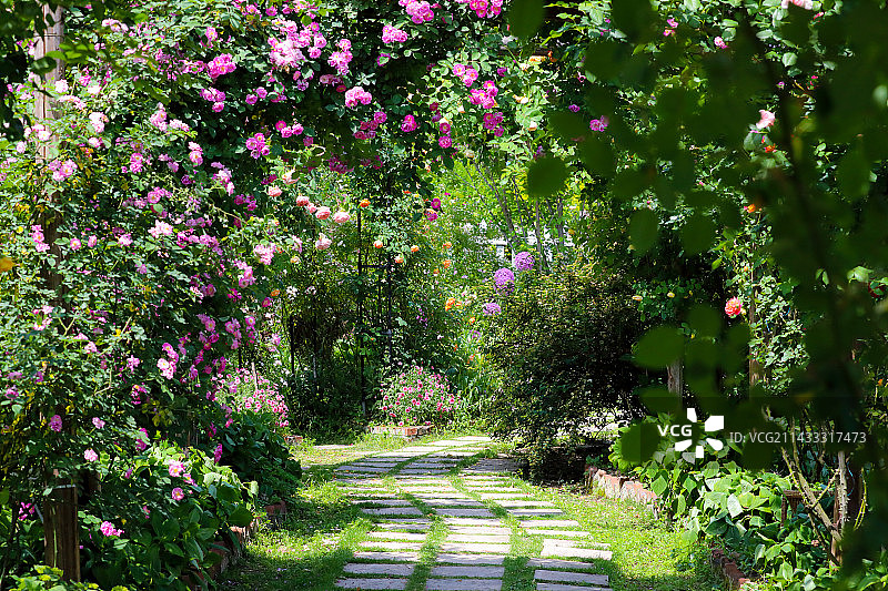 花路·乡村美景图片素材