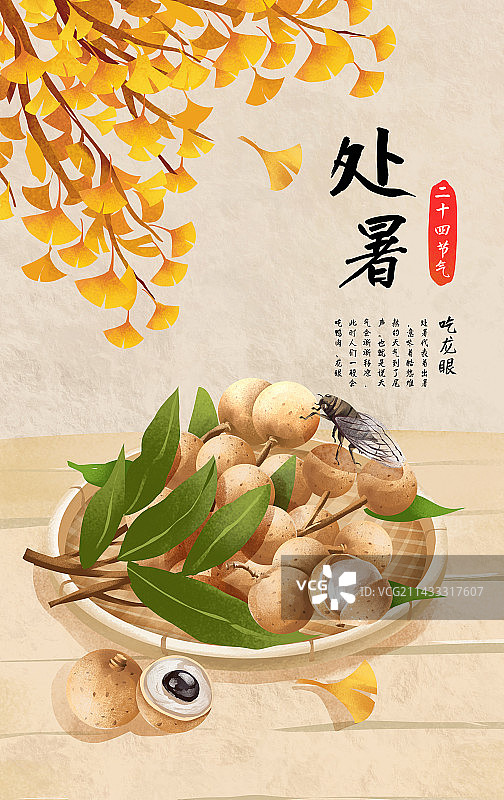 二十四节气之处暑特色水果 龙眼图片素材