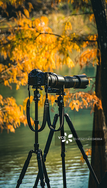 秋天的影子图片素材