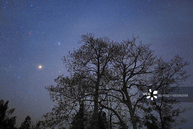 树梢上的火星图片素材