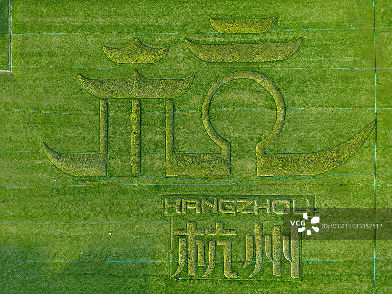 杭州城市标志草地图片素材