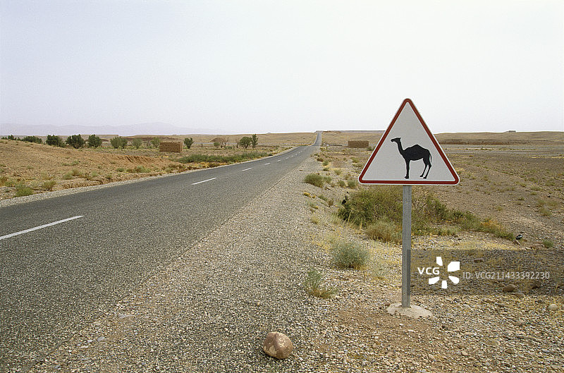 空旷高速公路上的骆驼穿越标志图片素材
