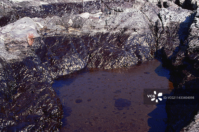 1990年德文海滩上的石油聚集图片素材