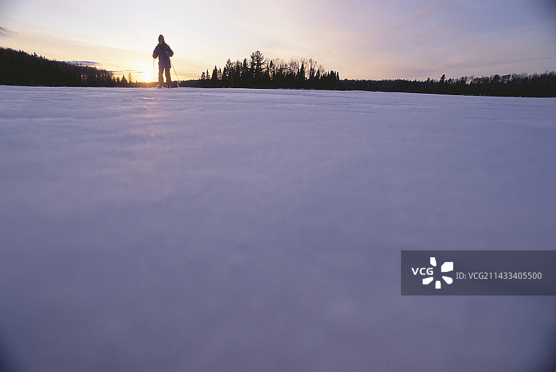 苏必利尔国家森林的越野滑雪图片素材