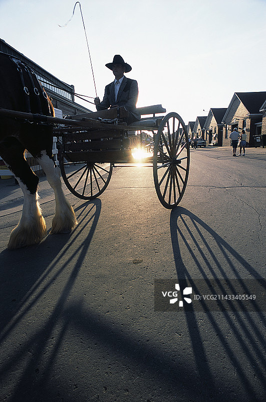 伊利诺伊州博览会上的马车图片素材