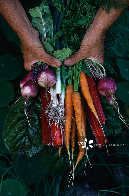 有机农产品图片素材