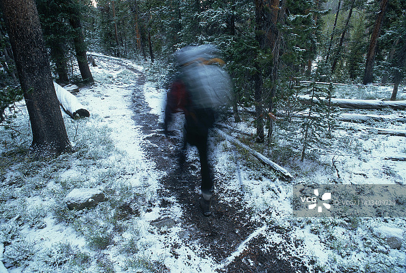 背包客徒步雪林小径图片素材