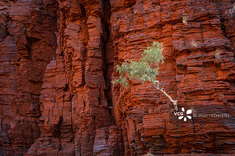 卡里基尼国家公园的诺克斯峡谷图片素材