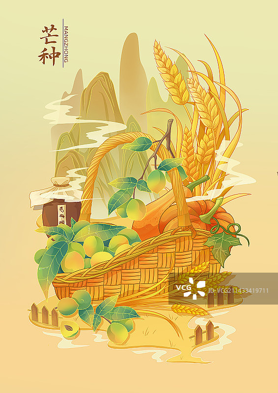 二十四节气插画—芒种图片素材