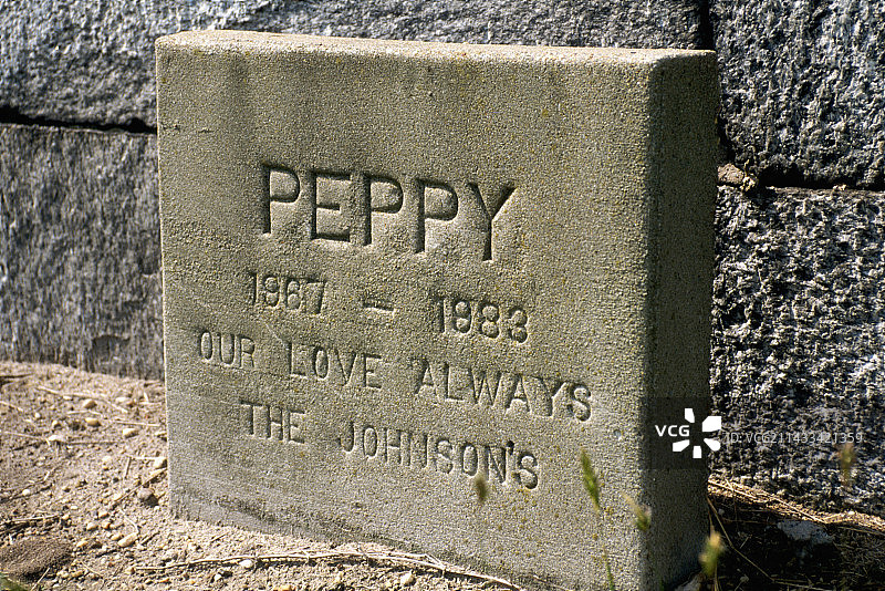 宠物Peppy的墓碑图片素材