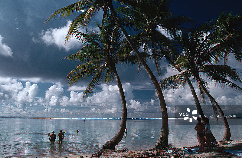 法属波利尼西亚的棕榈树和海滩游客图片素材