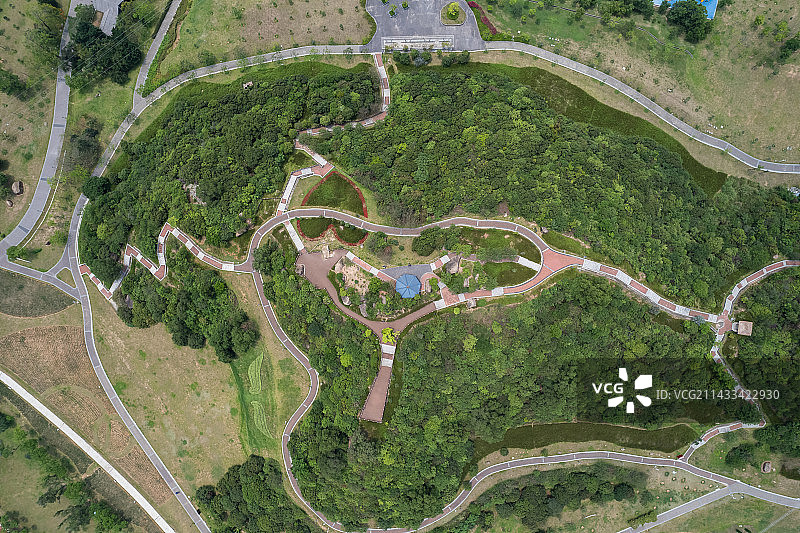 深圳石岩麻布新村陌上花公园图片素材