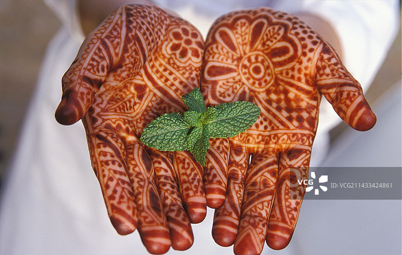 手持薄荷叶的指甲花装饰手图片素材