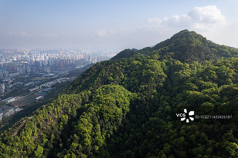 重庆沙坪坝歌乐山森林公园图片素材