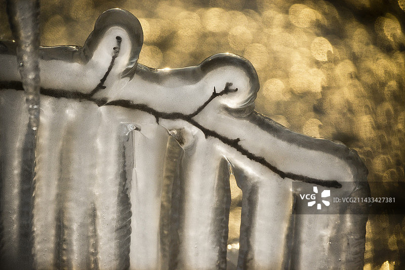 明尼苏达州苏必利尔湖北岸的冰封树木图片素材