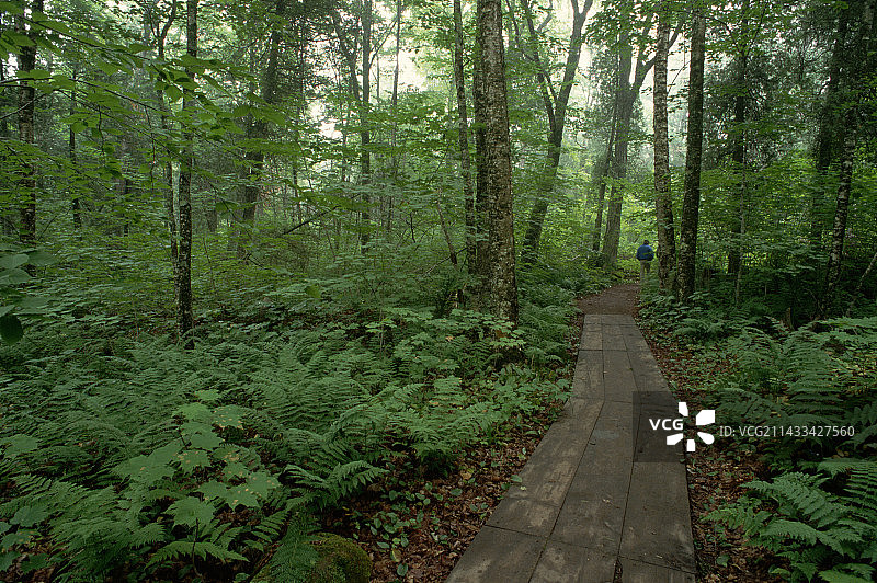 斯托克顿岛小径图片素材