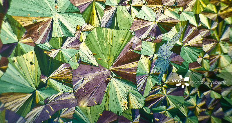 奎尼丁图片素材