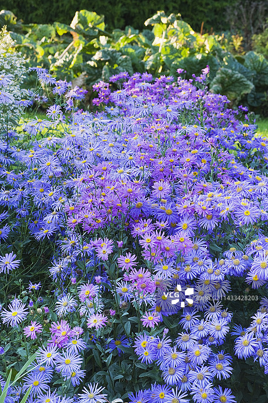 沃特珀里花园图片素材