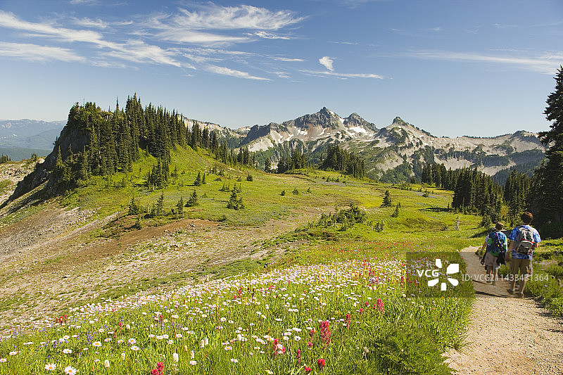男孩们在阿尔卑斯山小径上行走图片素材