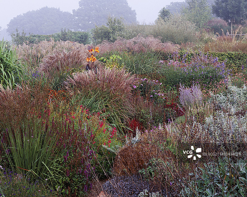东萨塞克斯郡雾气蒙蒙的秋日早晨图片素材