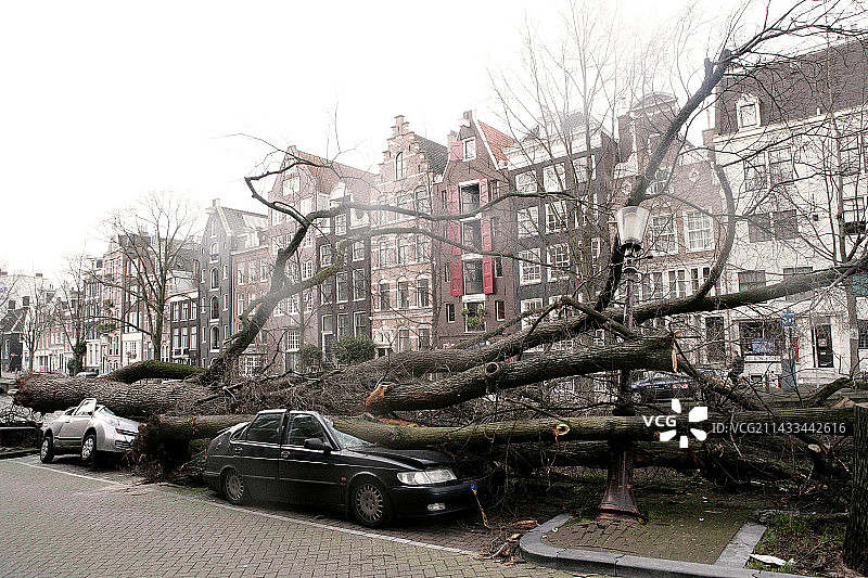阿姆斯特丹：倒下的树木砸毁汽车图片素材