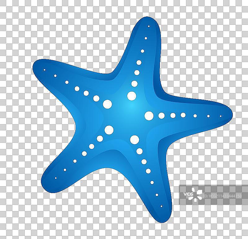 海洋生物动物图片素材