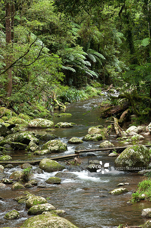 边境山脉国家公园的斑纹溪图片素材