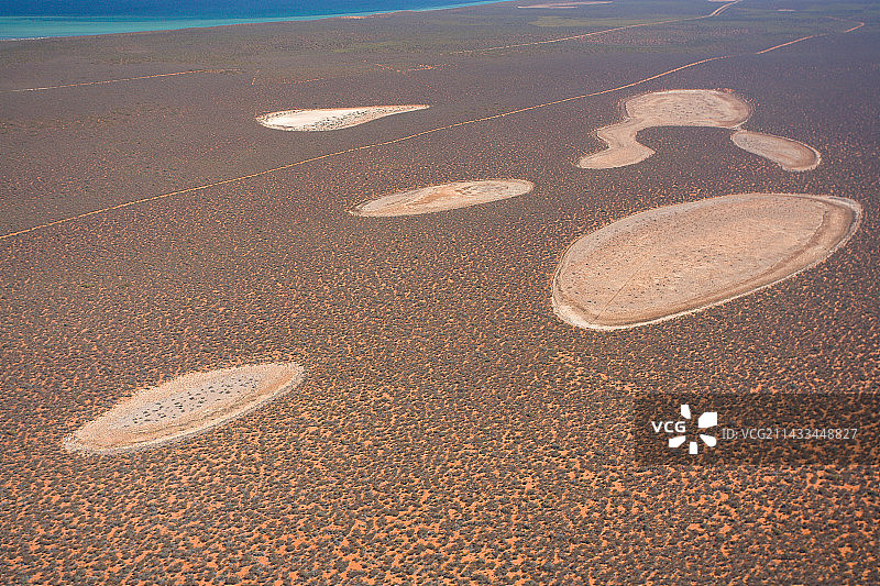 西澳大利亚鲨鱼湾的叠层石图片素材