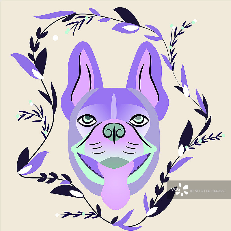 扁平风格-斗牛犬图片素材