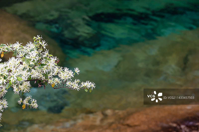 黄山翡翠谷彩色池水图片素材